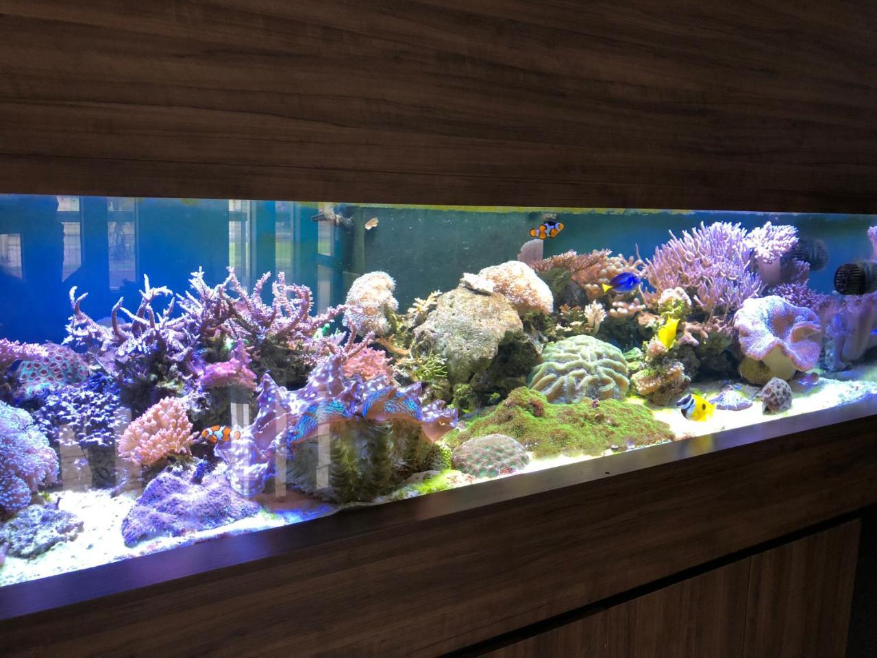 Acalantus Hotel กัวยาเนีย ภายนอก รูปภาพ